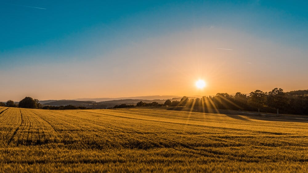 When shooting at sunrise, you’d like need to set your white balance to around 1800 K. You can also choose to use the AWB or Automatic White Balance setting on your camera. That way it will pick what it thinks is correct. | image from unsplash
