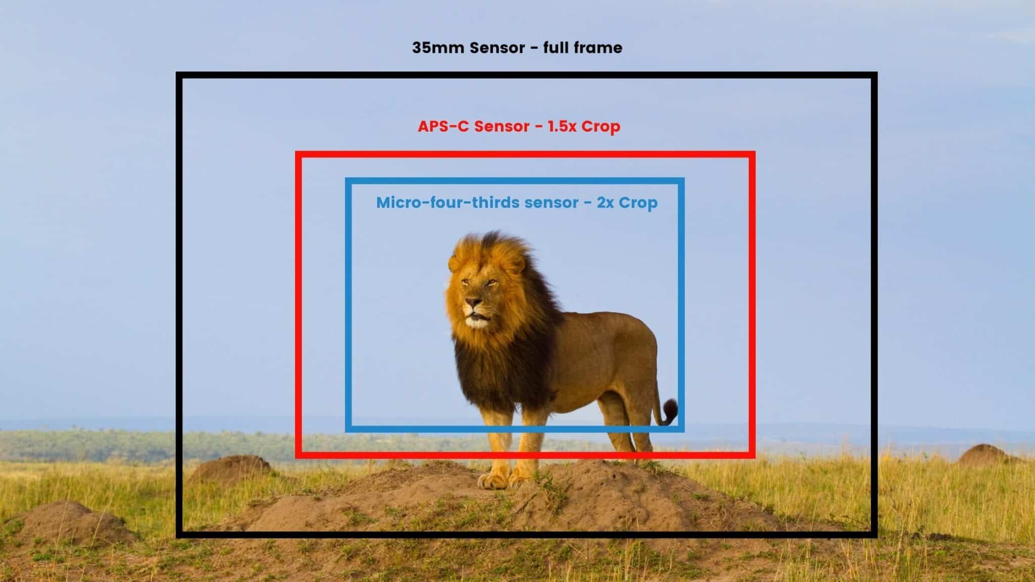 sensor sizes