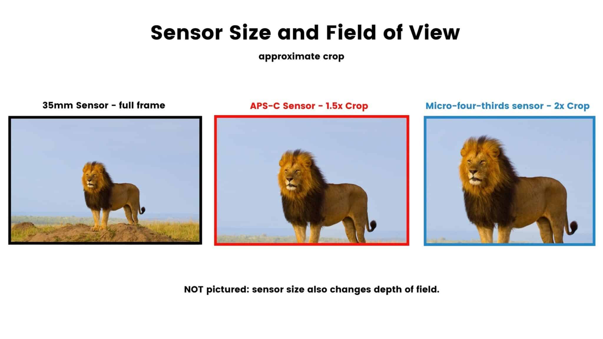 sensor size and field of vieew