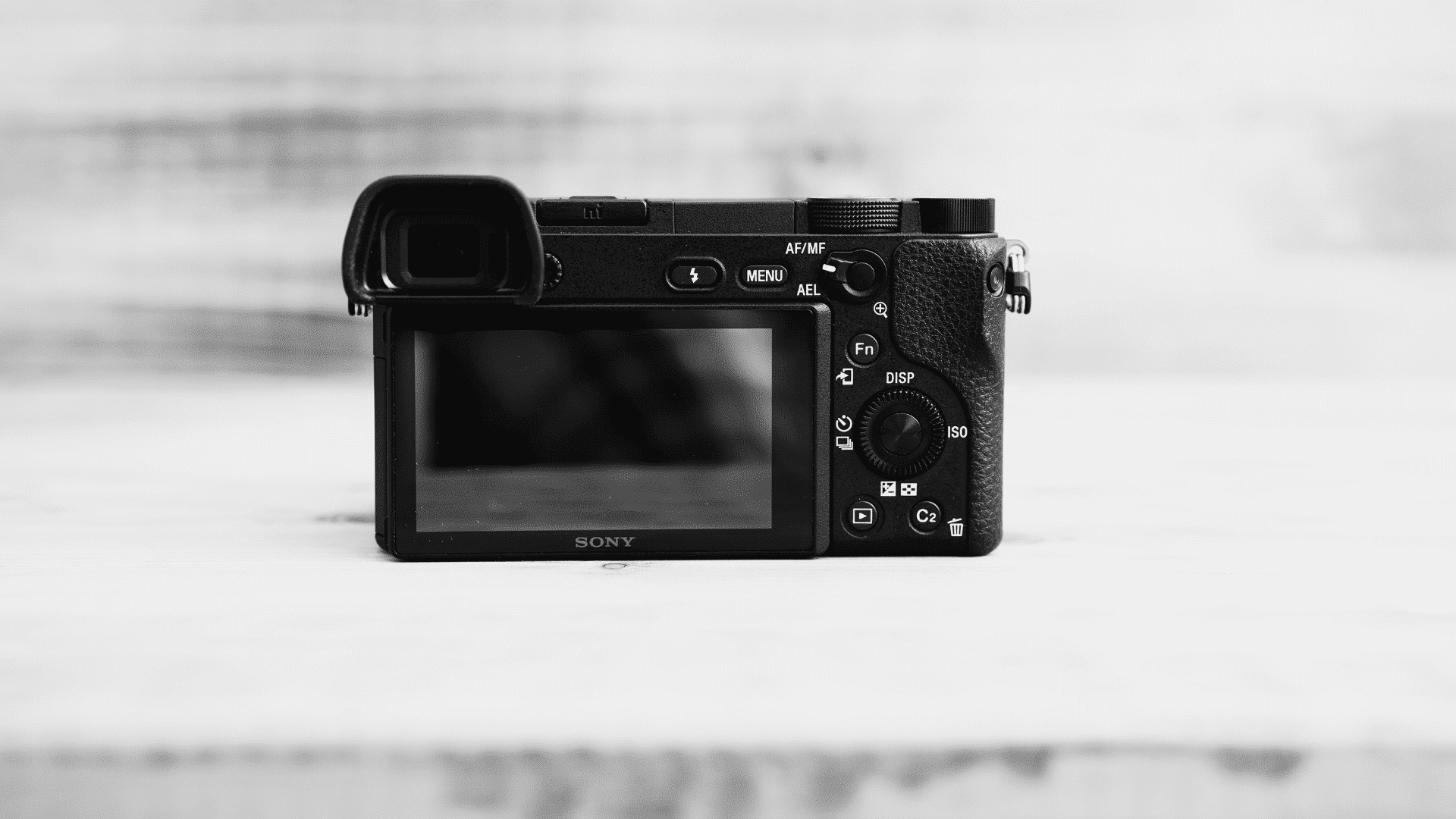 A compact mirrorless camera with a LCD screen. - The image sensor is responsible for capturing light and translating it into digital data, which is then sent to the camera’s electronic viewfinder or LCD screen.