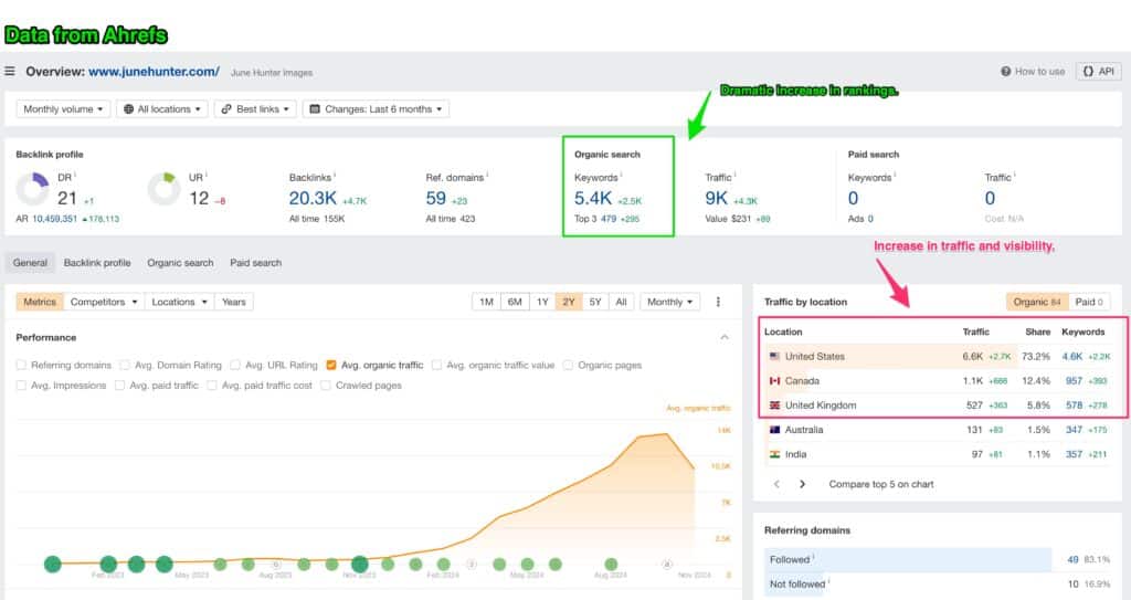 e-commerce seo case study